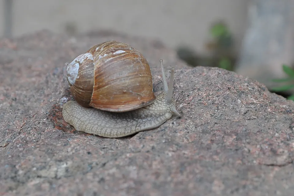 Różne