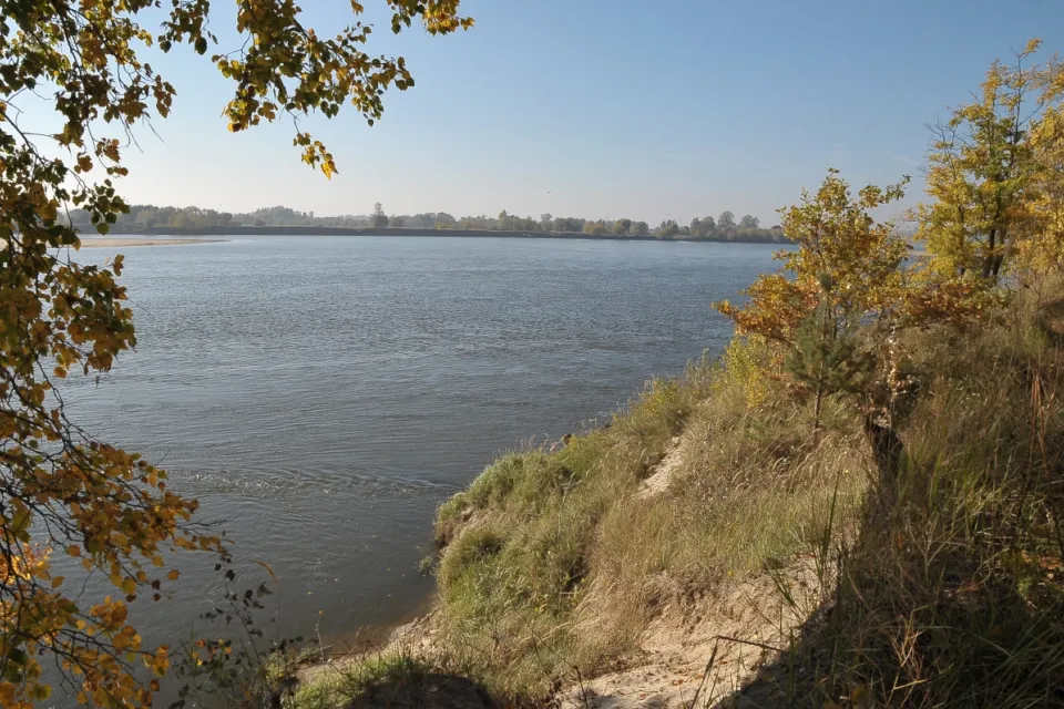 Dolina Dolnej Wisły