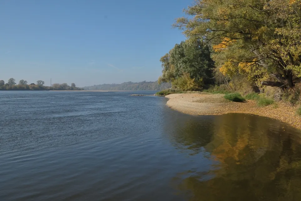 Dolina Dolnej Wisły