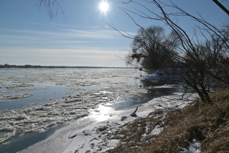 Zima