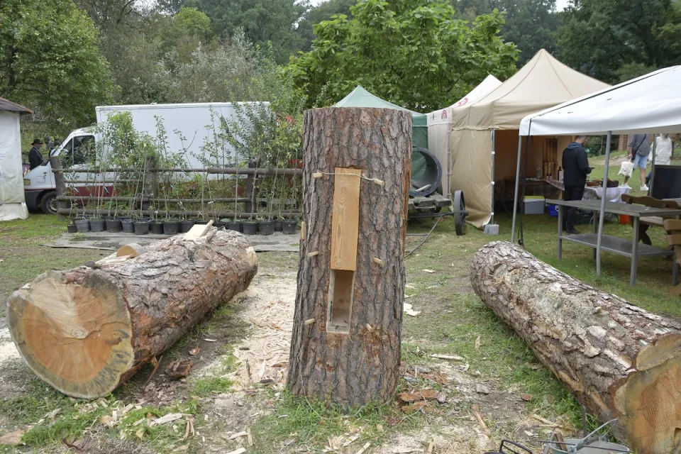 Festiwal Smaku Gruczno 2024