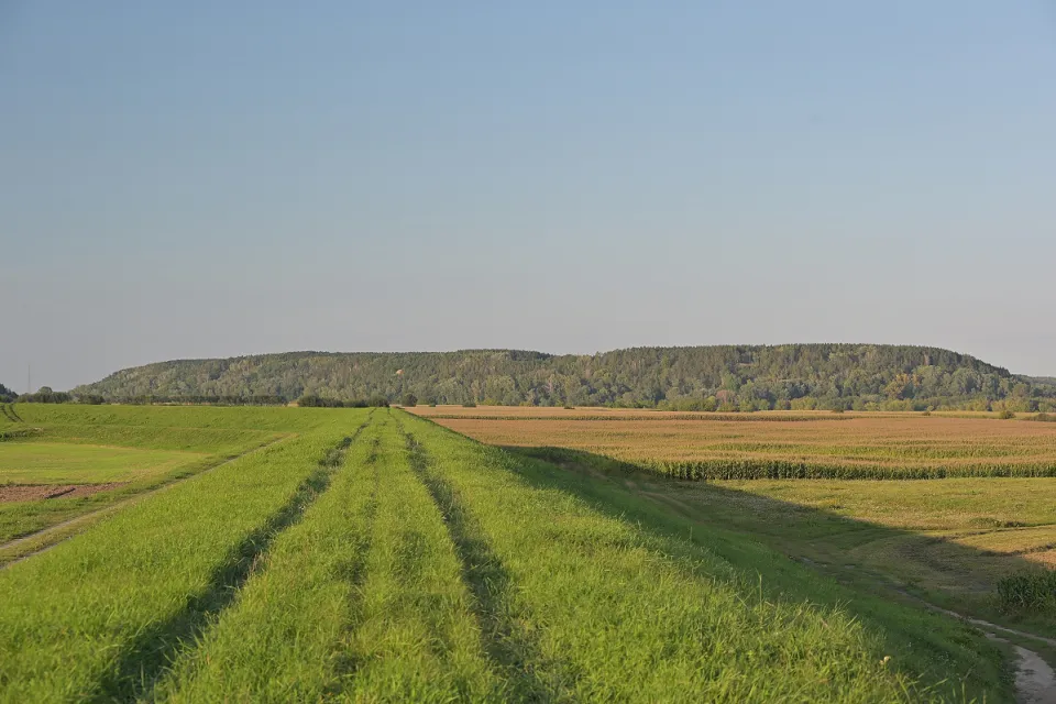 Góry Łosiowe