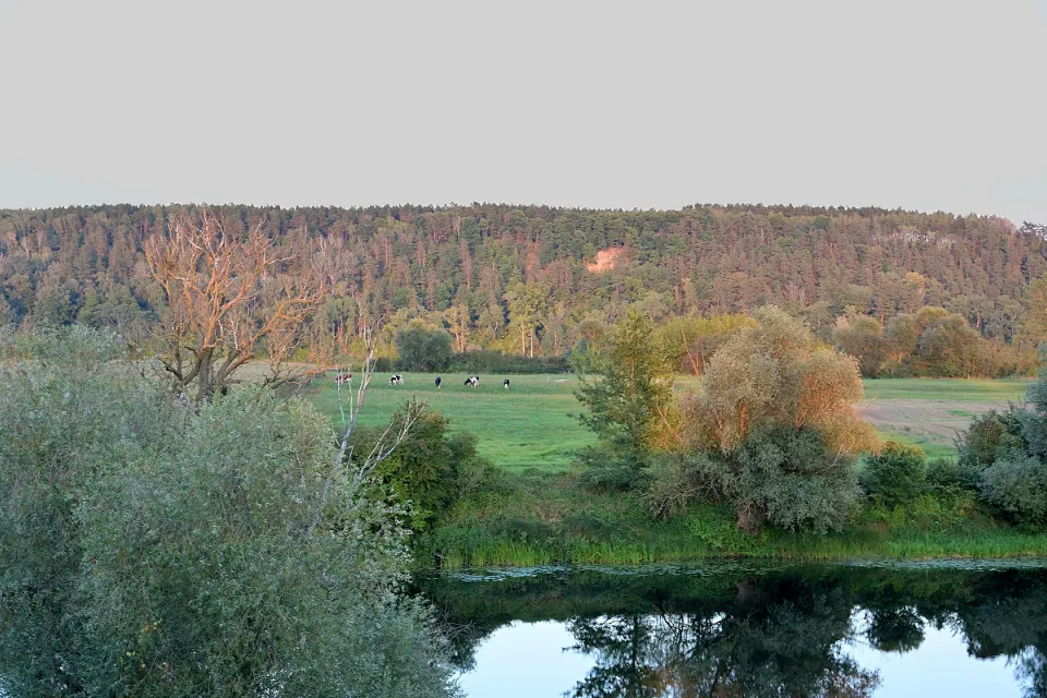Góry Łosiowe