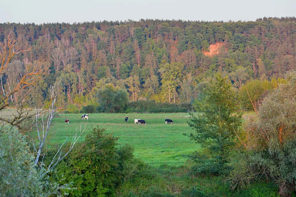 Góry Łosiowe