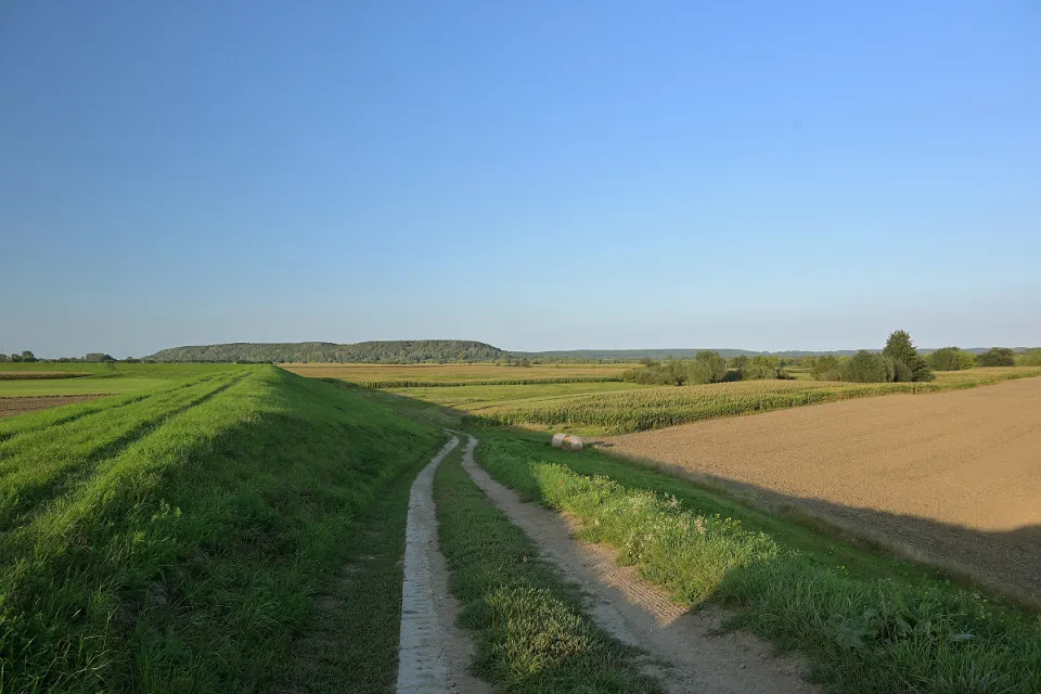 Góry Łosiowe
