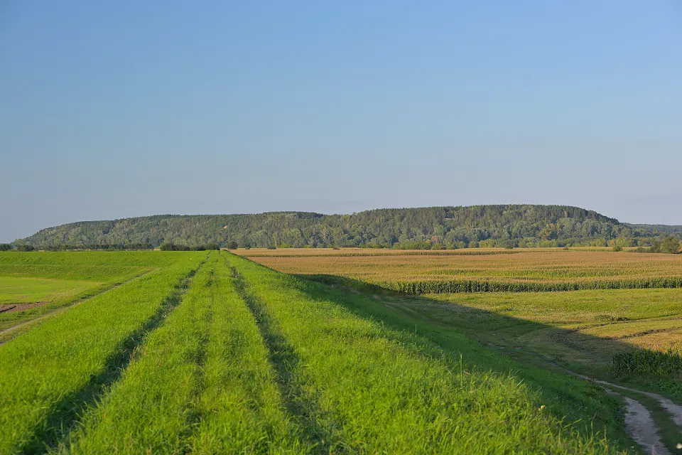 Góry Łosiowe