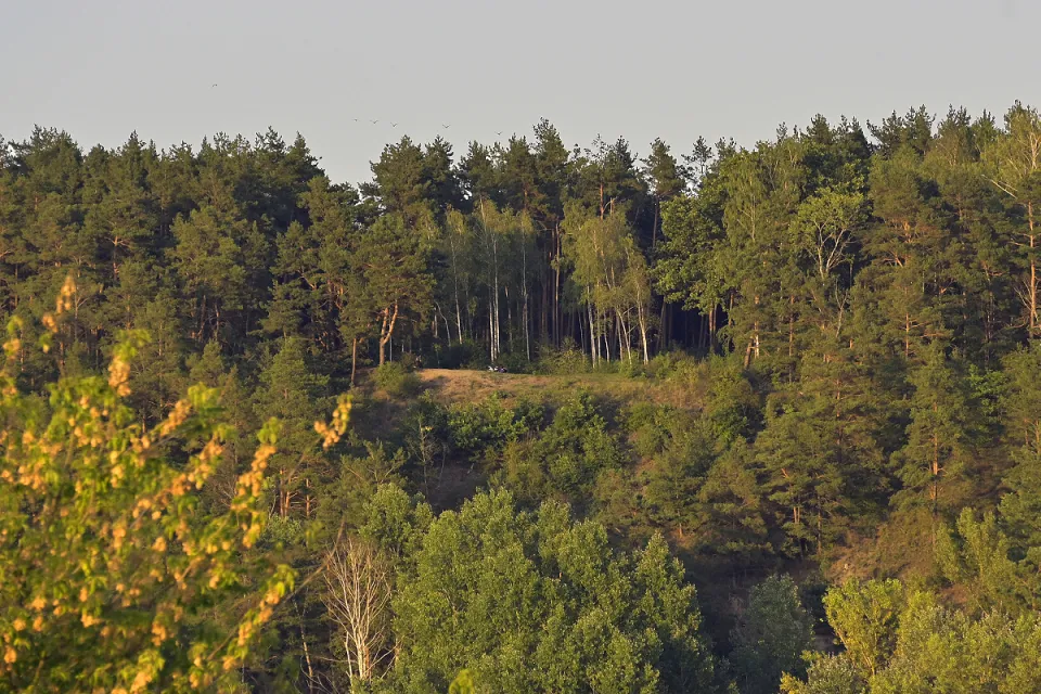Góry Łosiowe