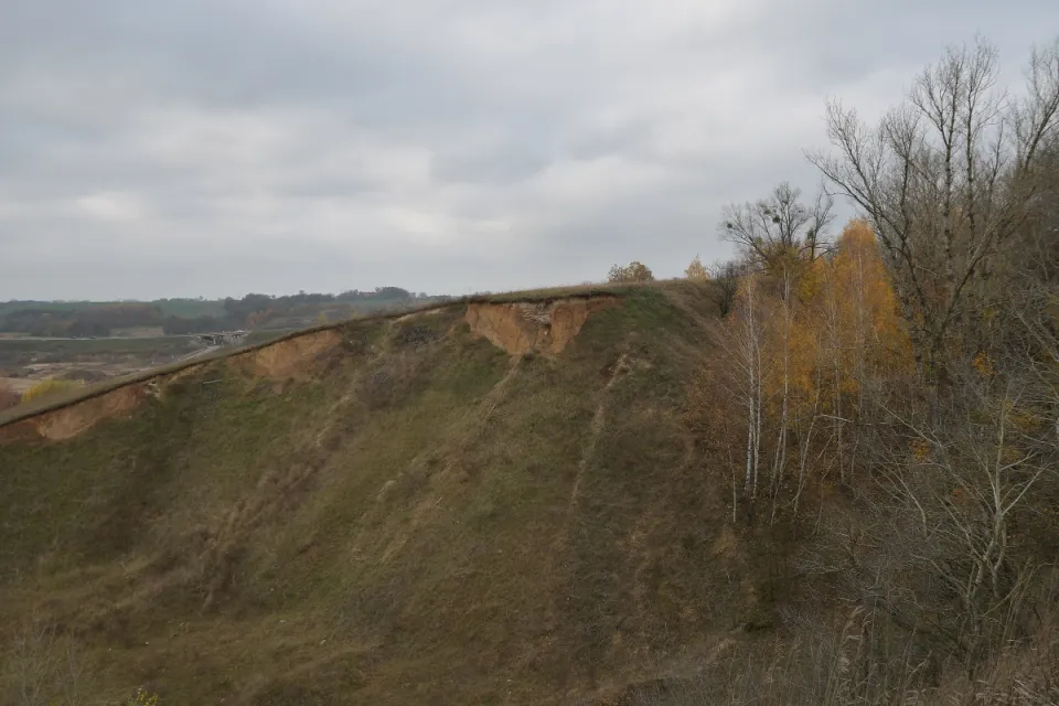 IV Dolnowiślański Redyk Gruczno 2019