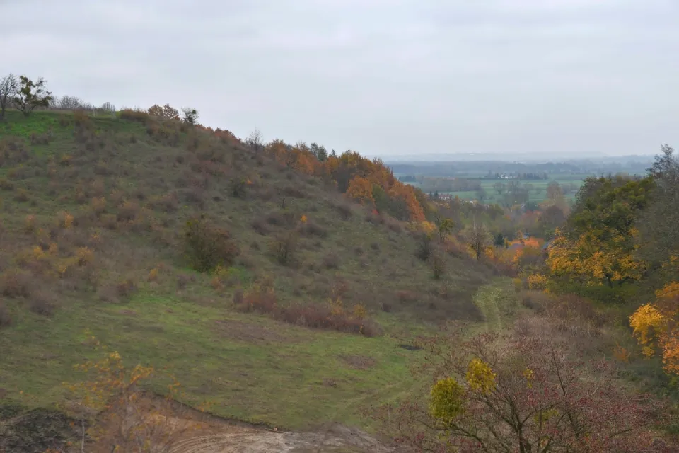 IV Dolnowiślański Redyk Gruczno 2019