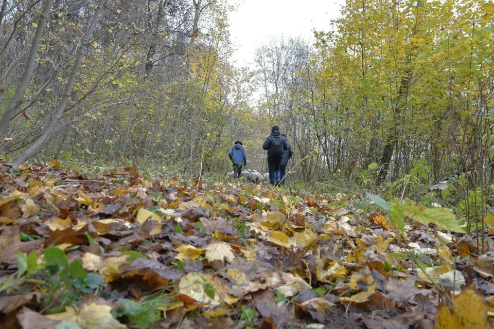IV Dolnowiślański Redyk Gruczno 2019