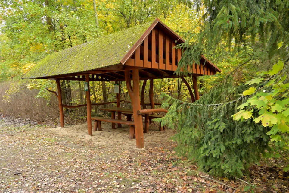 Autum
