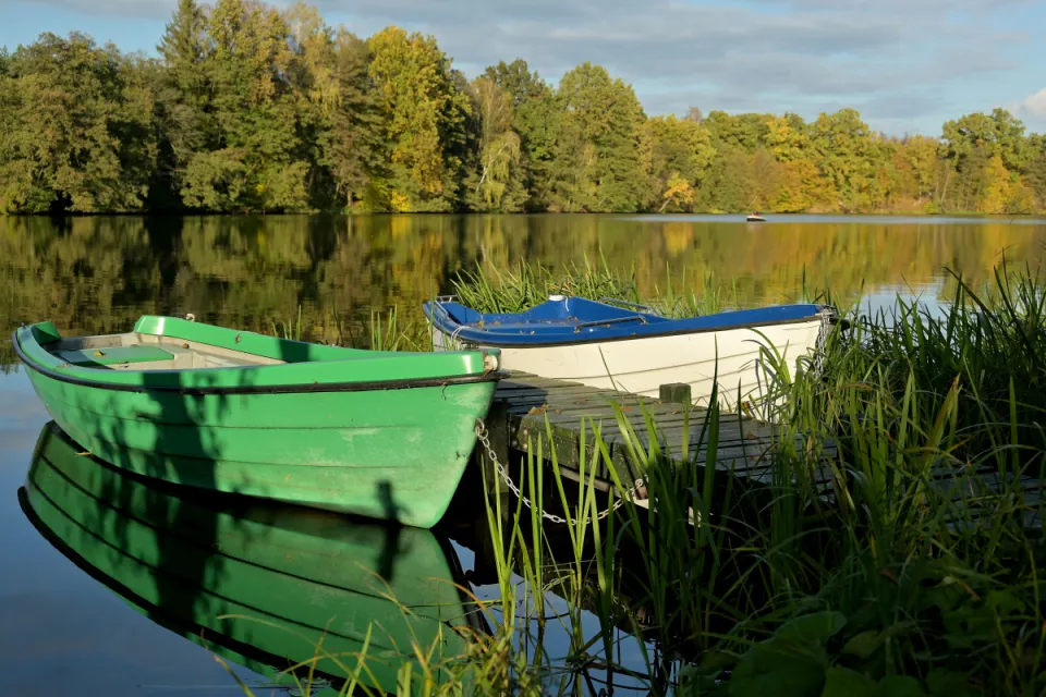 Autum