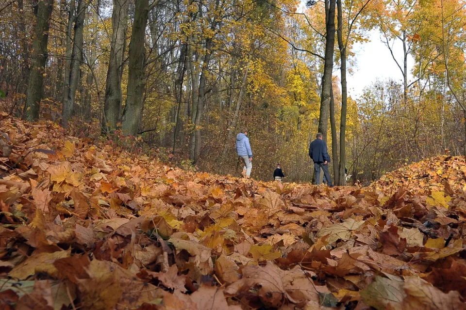 Jesień