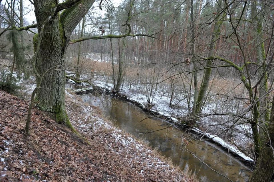 Rzeka Mątawa