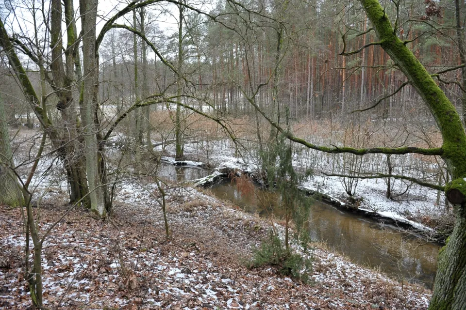 Rzeka Mątawa