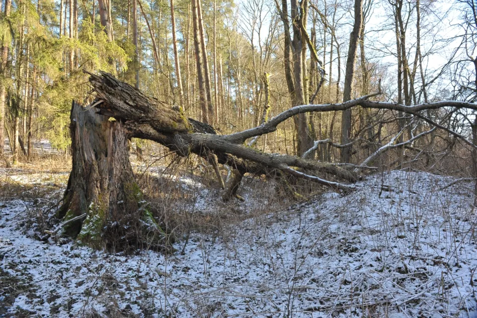 Rzeka Mątawa