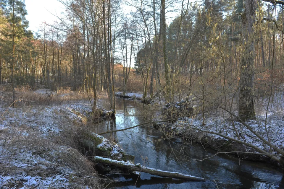 Rzeka Mątawa