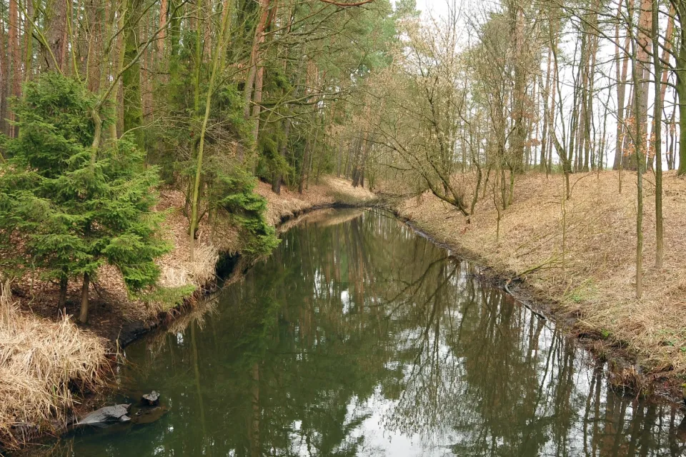 Rzeka Mątawa
