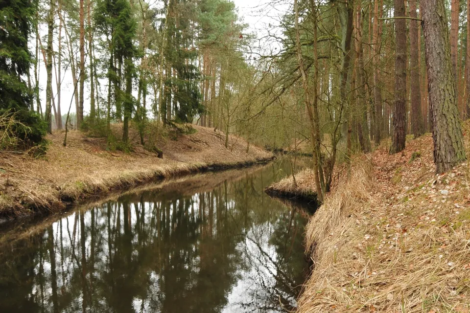 Rzeka Mątawa