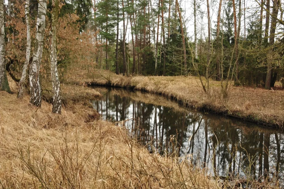Rzeka Mątawa