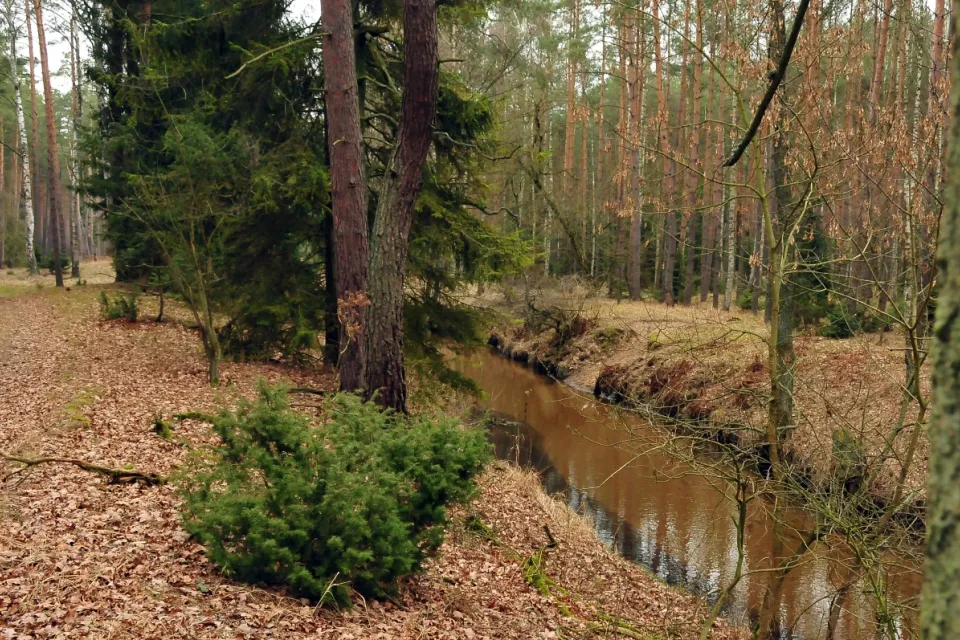 Rzeka Mątawa
