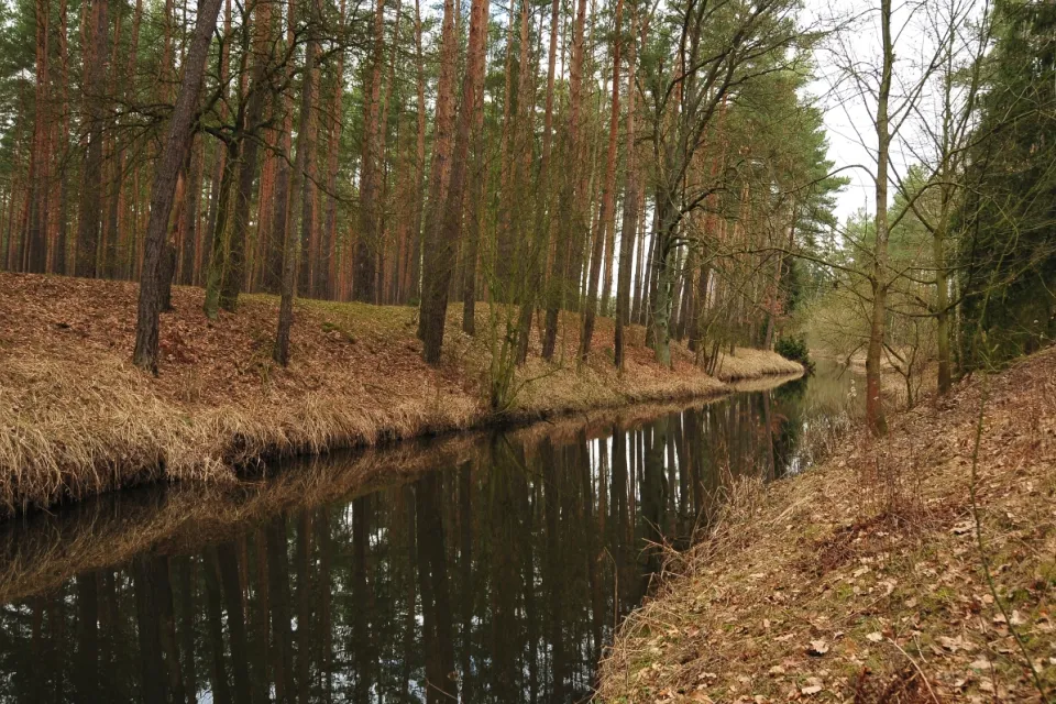 Rzeka Mątawa