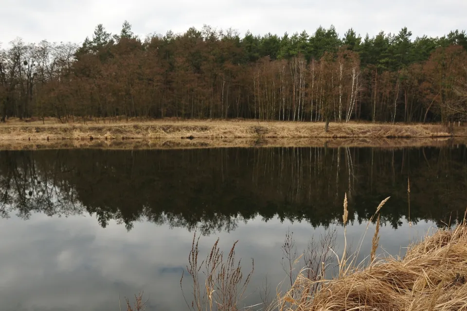 Rzeka Mątawa