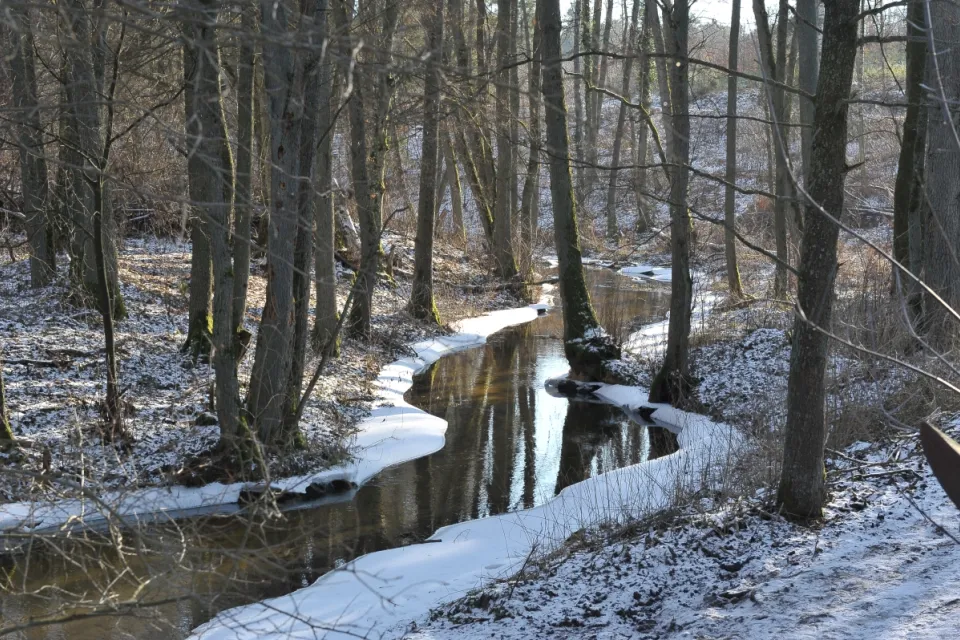 Rzeka Stobina