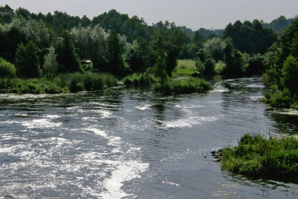 Rzeka Wda