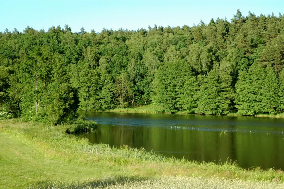Rzeka Wda