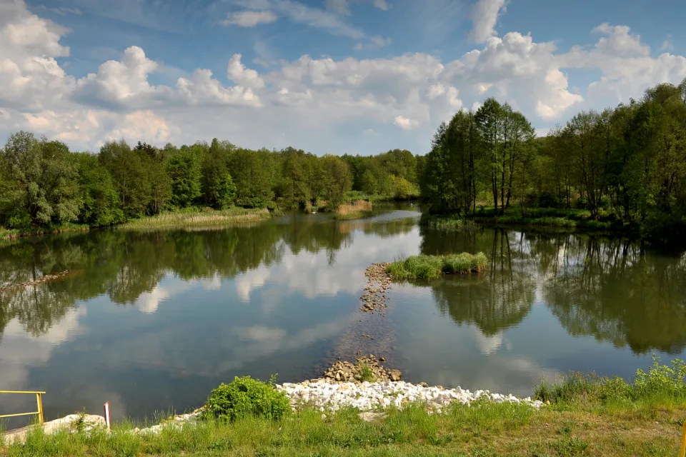 Rzeka Wda