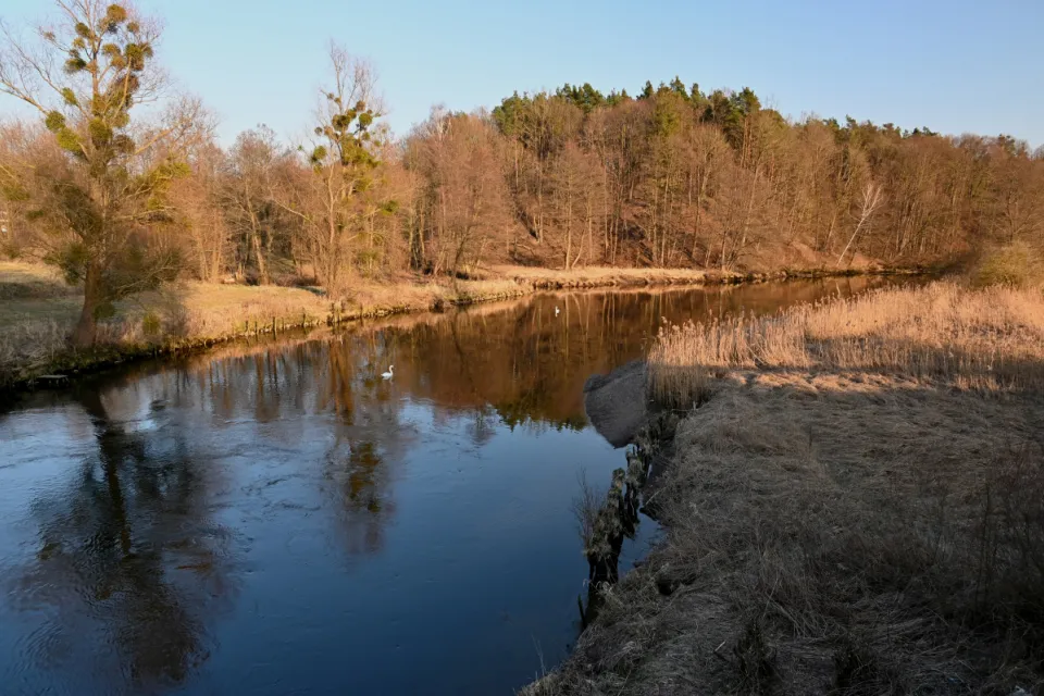 Rzeka Wda