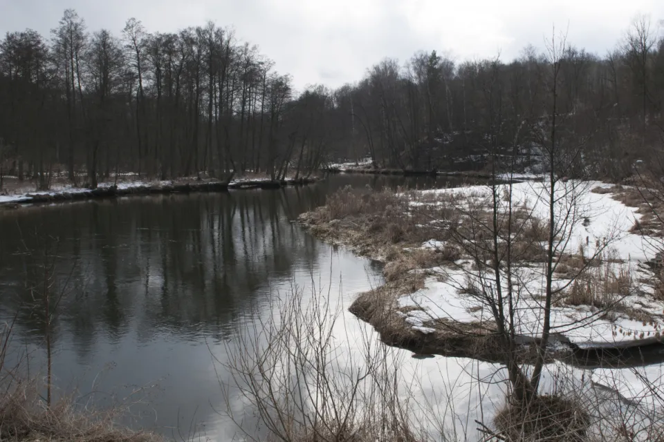 Rzeka Wda
