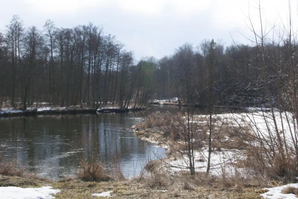 Rzeka Wda