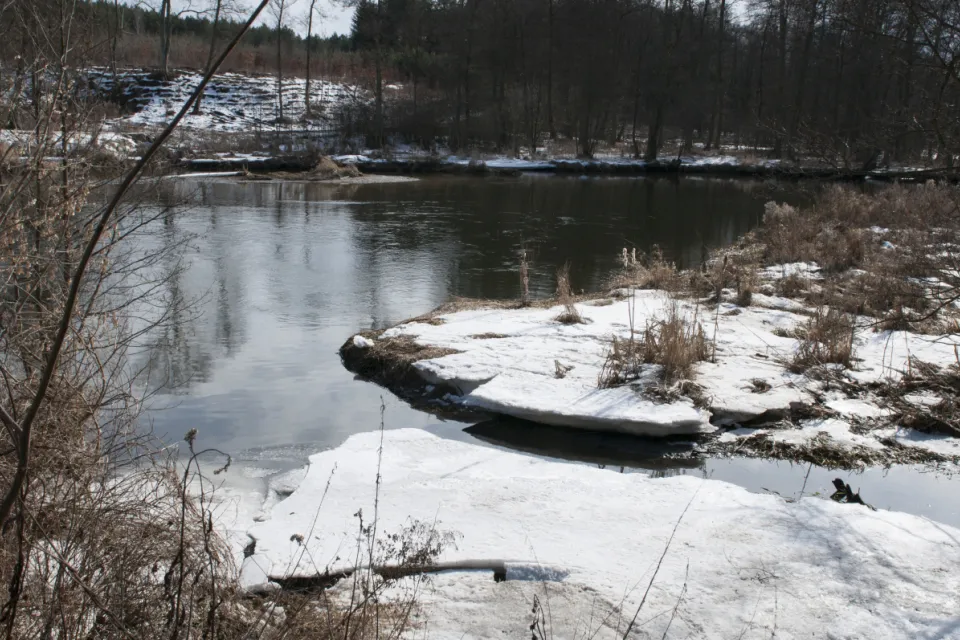Rzeka Wda