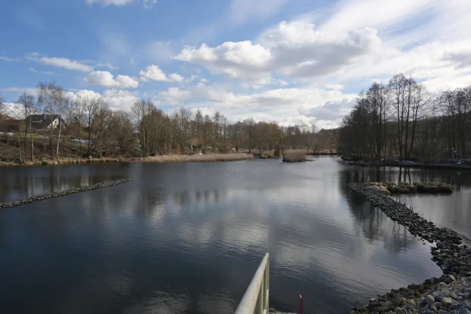 Rzeka Wda