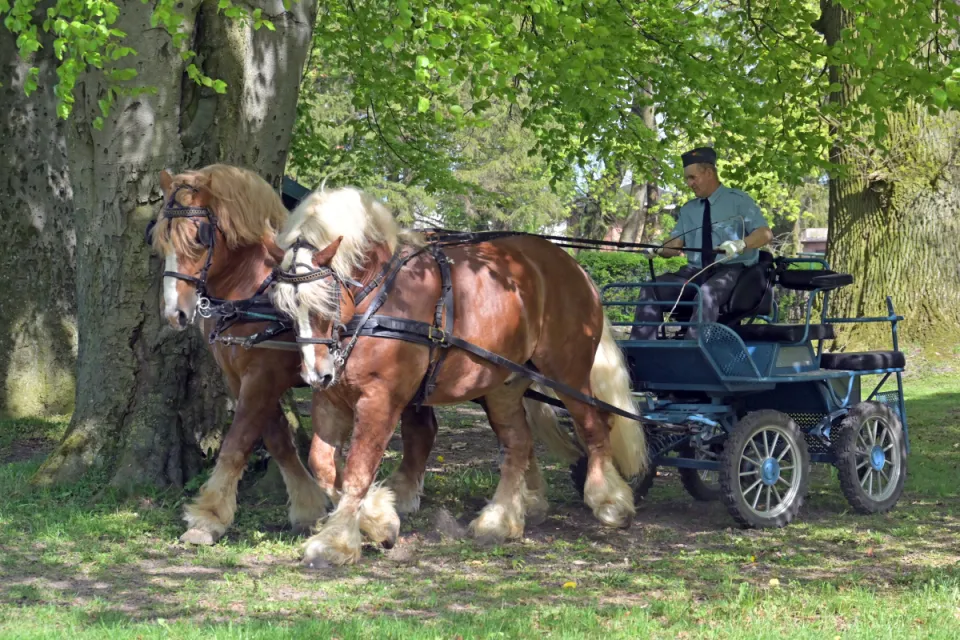 Stadnina Koni Nowe Jankowice