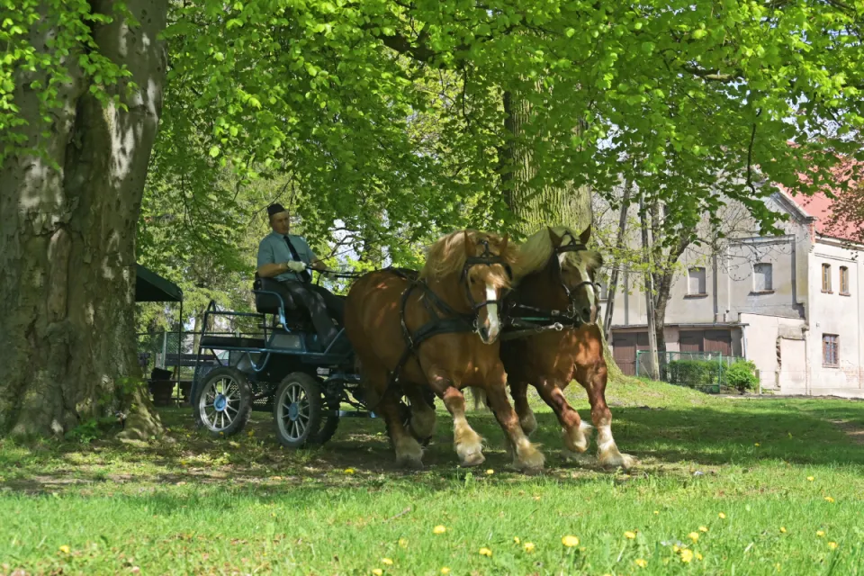 Stadnina Koni Nowe Jankowice
