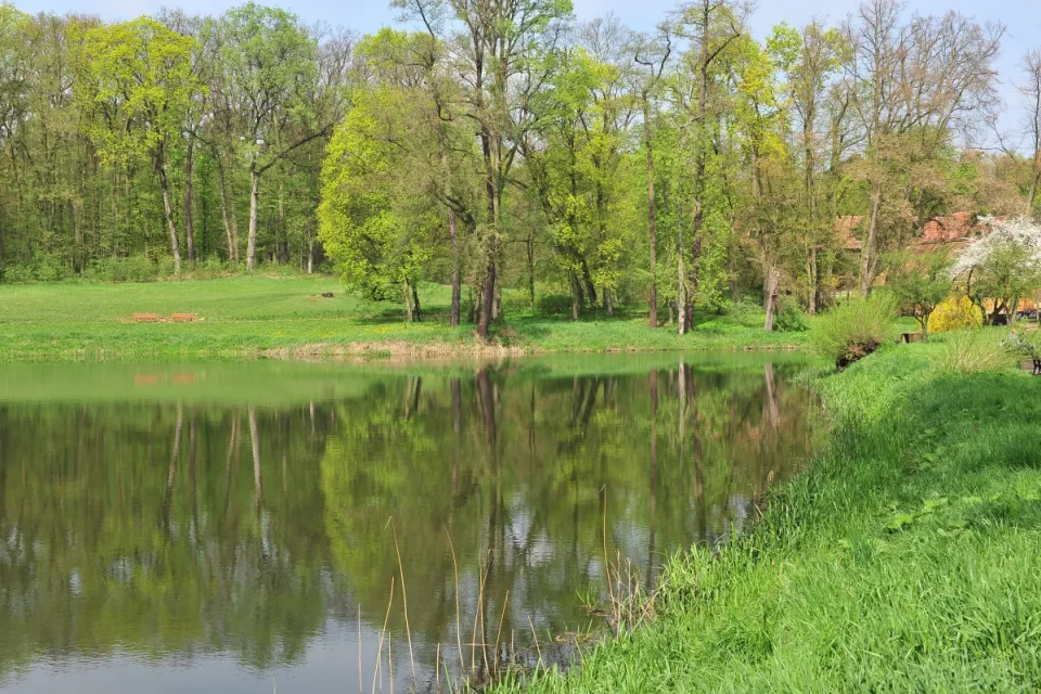 Wiosna